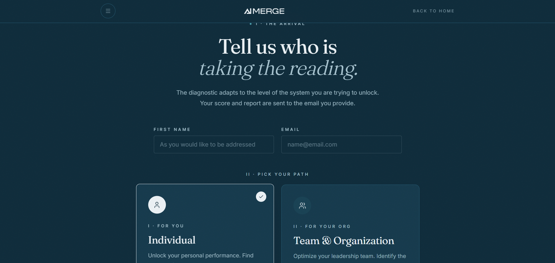 The opening screen - your name, your email, and whether the assessment is for you or your team.